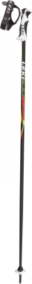 TRITON S